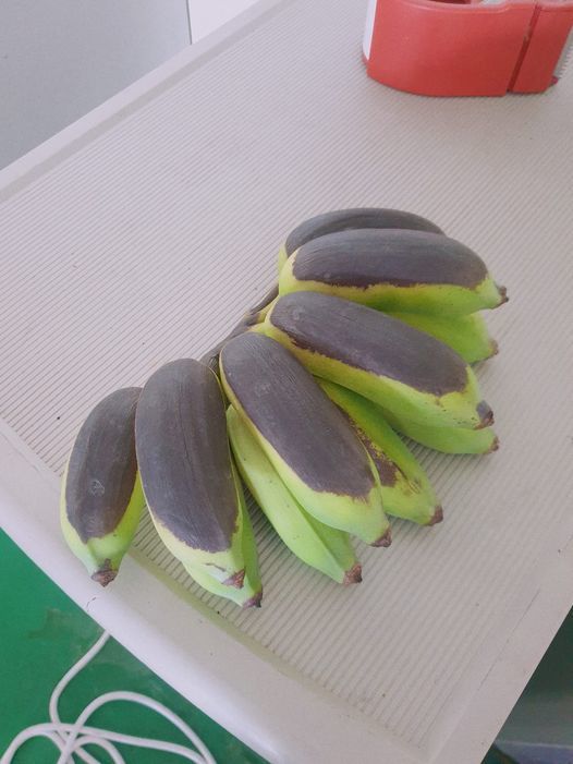 圖 | 翻攝自Facebook社團 爆廢公社公開版