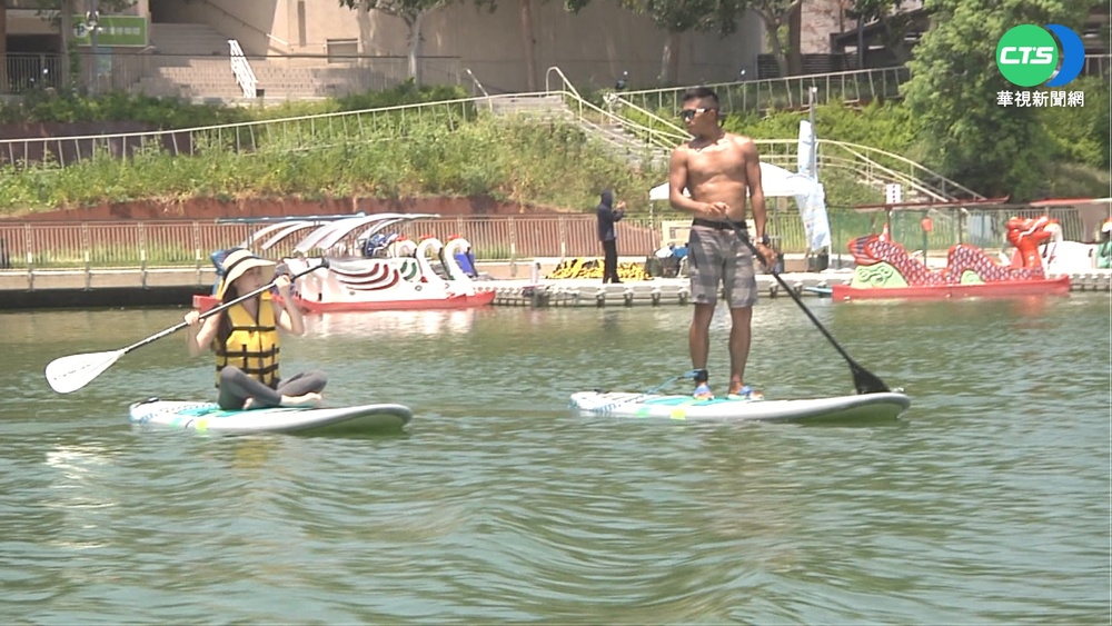 新竹青草湖變身水上樂園 體驗天鵝船.立槳