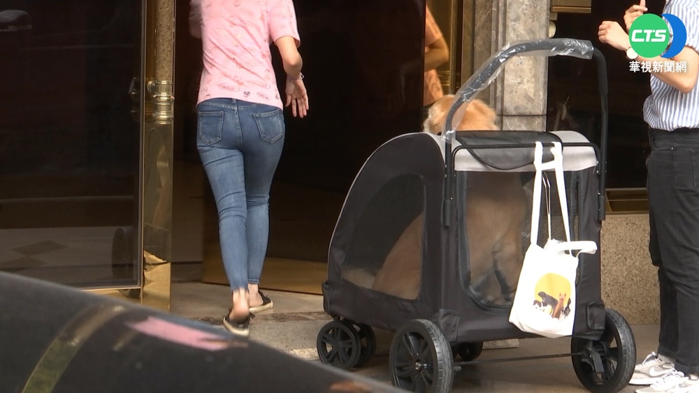 違反社區寵物規定 夫妻拒繳罰單 判賠10.1萬