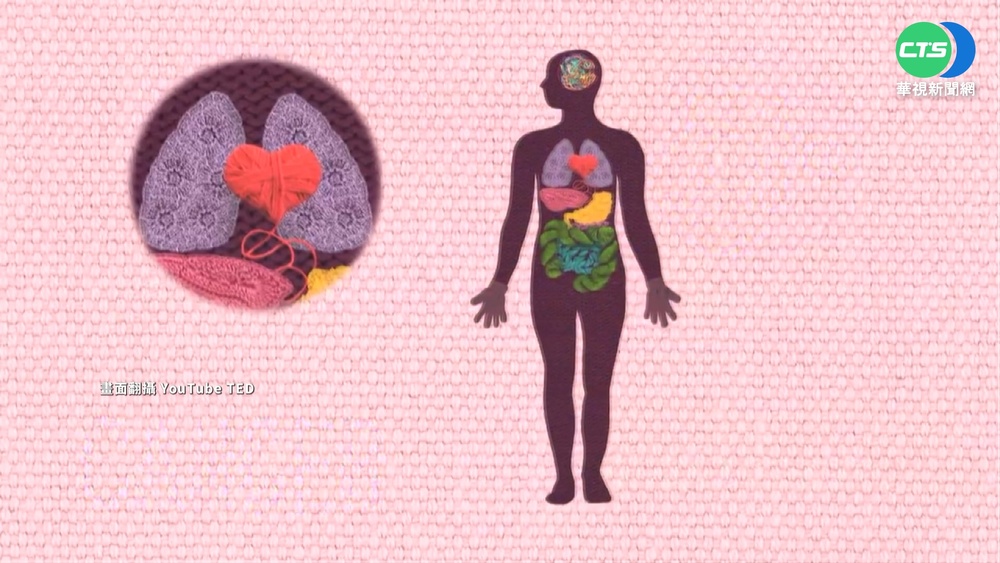 癌細胞愛"糖" 醫:澱粉糖類攝取降至1/3