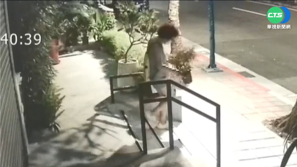 婦連偷2盆栽全錄 霸氣店家公告50盆免費拿