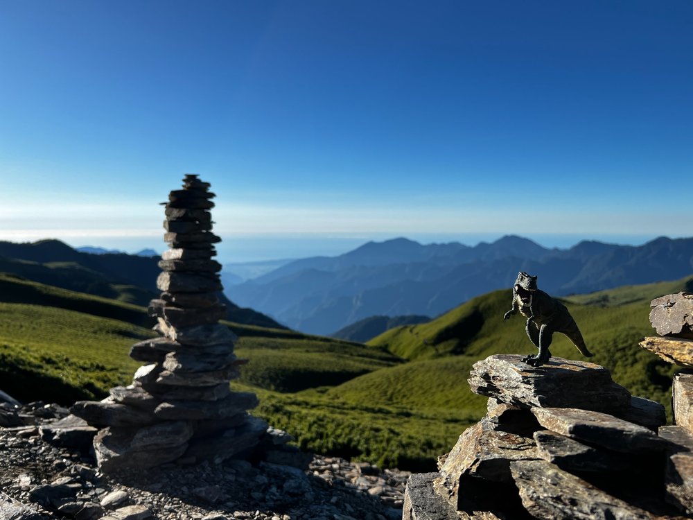 迷途恐龍不孤單！登山忘「恐龍公仔」 山友意外合影