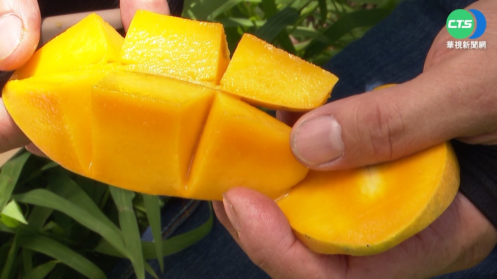 水蜜桃芒果一顆400 民眾控攤商"騙觀光客"