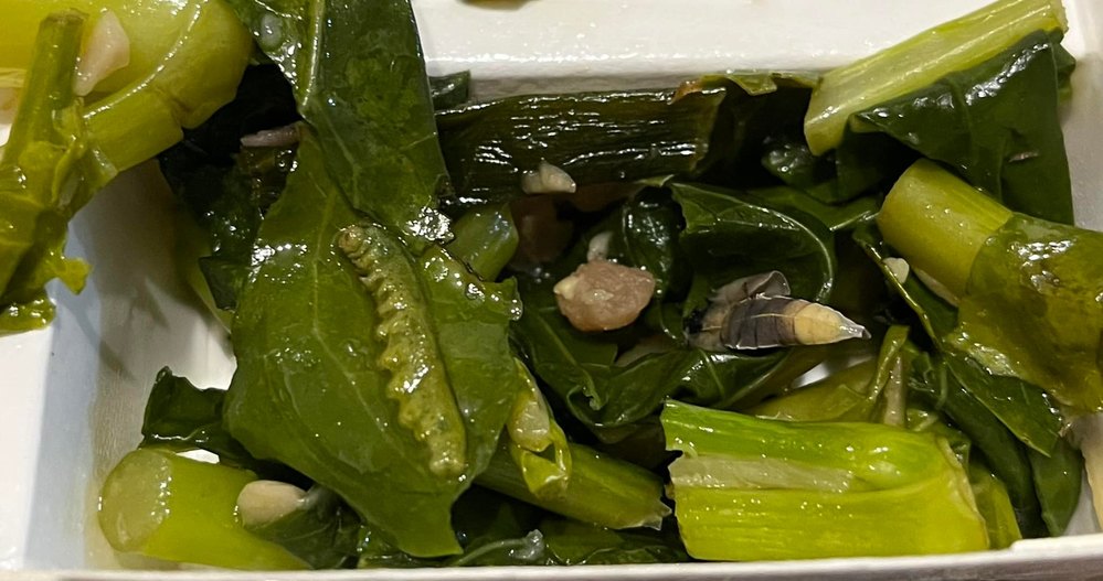 便當配菜驚現「幼蟲到蛹」一次滿足 老闆娘：那是薑絲