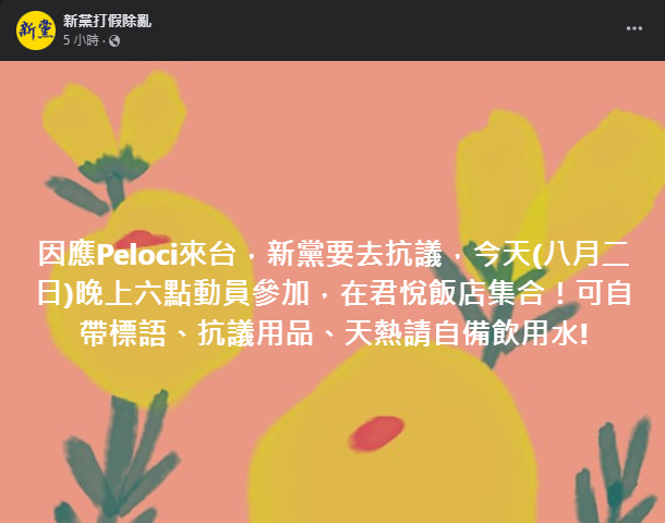 圖片翻攝自 新黨打假除亂 臉書