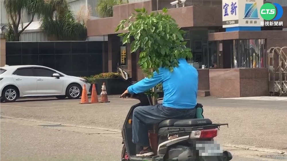 台1線"樹頭人"出沒?! 盆栽遮頭騎車太危險