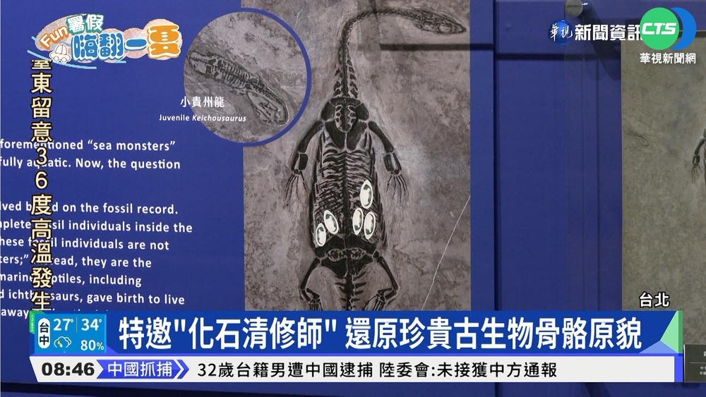 親子迷恐龍! 台博館推中生代水怪化石展