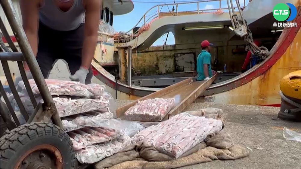 共軍演習"就在門口" 漁民照出海.賞鯨班次正常