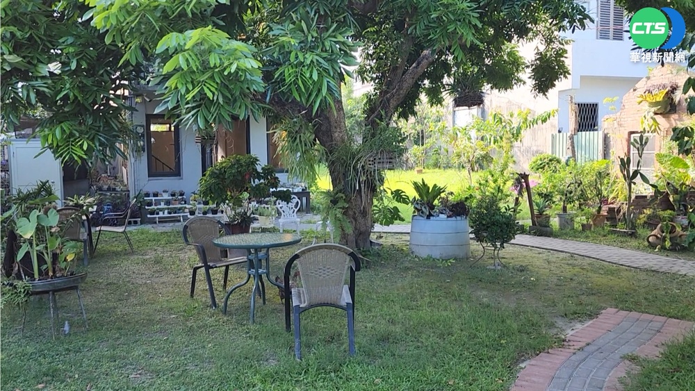 咖啡廳別有"洞"天 內藏日據時期防空洞