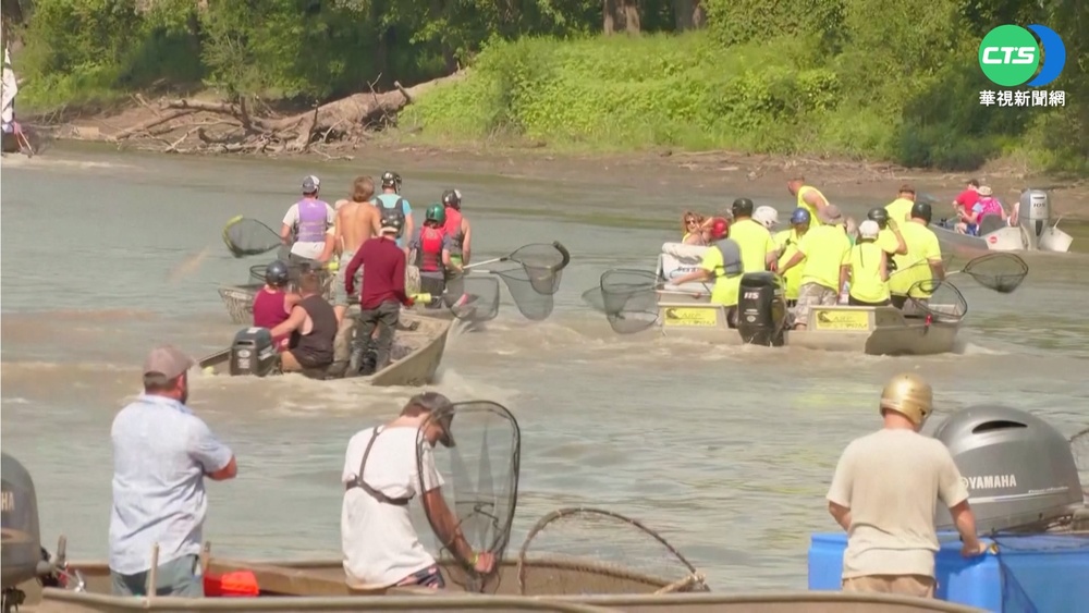 歐洲濱蟹入侵美東岸 酒廠創意釀酒滅外來種