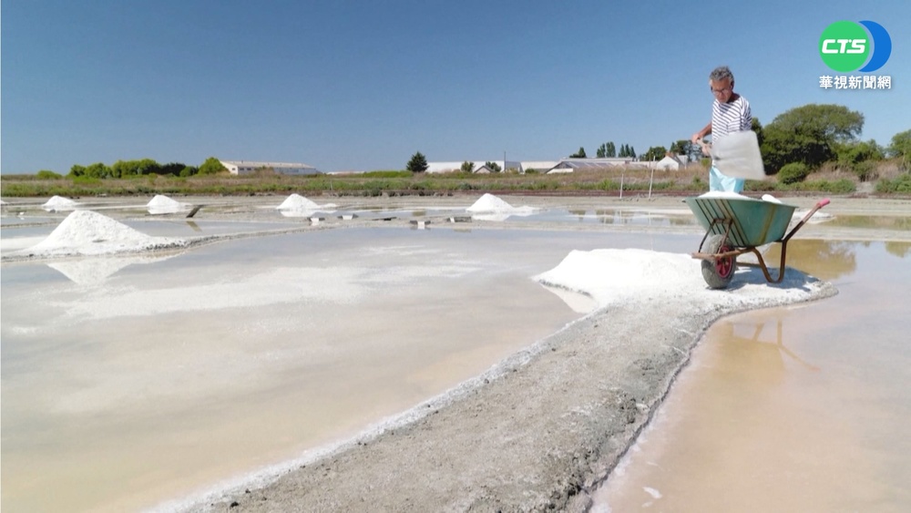 拜"乾旱"之賜 法國西部製鹽業今年大豐收