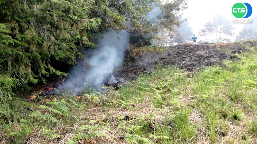 武陵農場後方山林火 林管處.消防急灌救