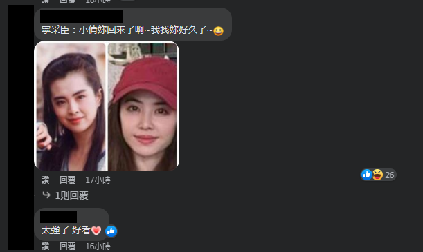 圖片翻攝自 蔡健雅 Tanya Chua  臉書