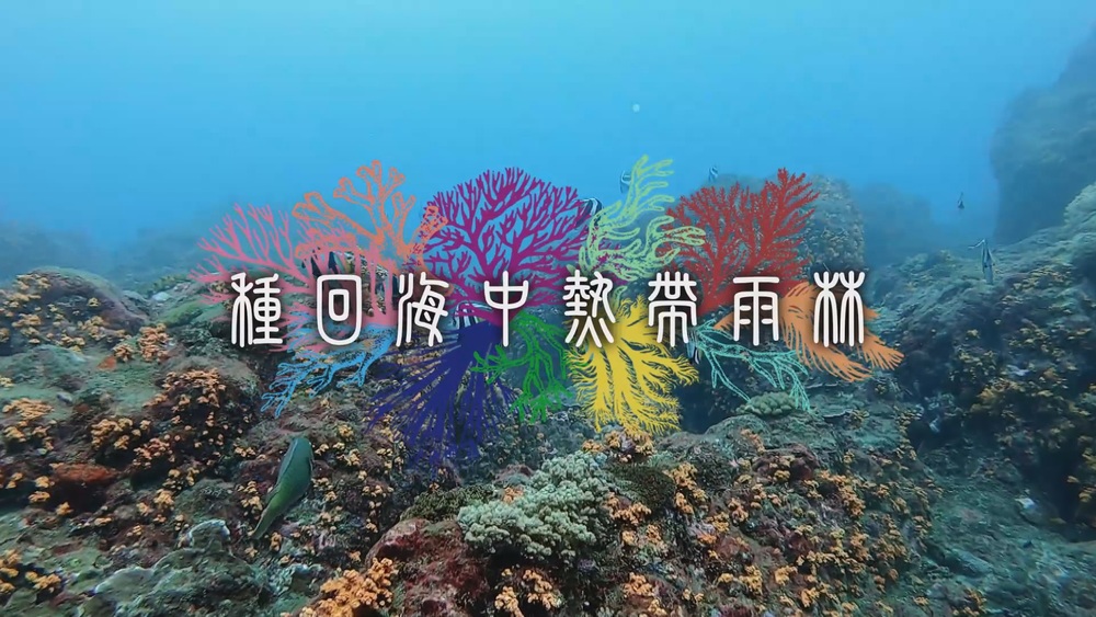 種回海中熱帶雨林｜九孔池裡的珊瑚花園｜華視新聞雜誌