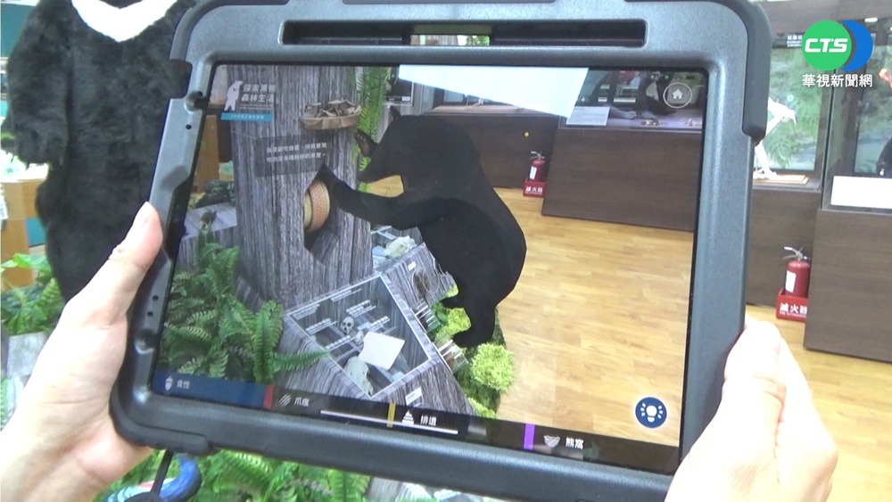 花蓮黑熊教育館升級 AR互動"走進森林"