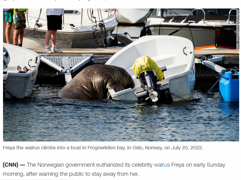 圖片翻攝自 《CNN》