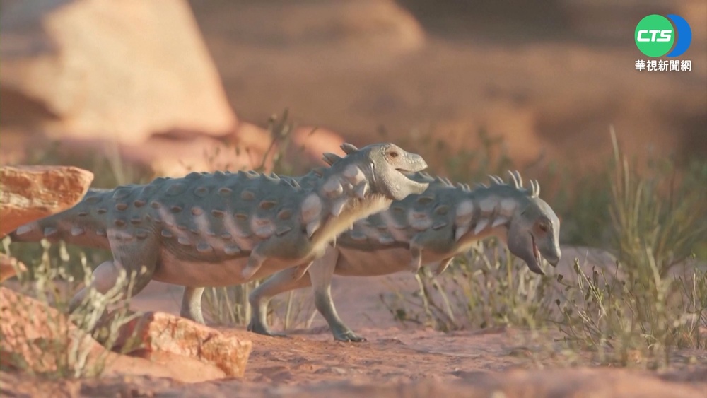 考古新發現! 阿根廷出土"冕岩持盾龍"