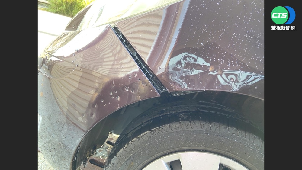 車停路邊遭毀損 監視畫面曝"狗群做案"