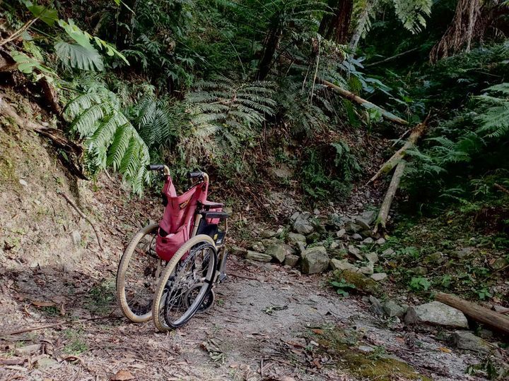 兒子孝心感動萬人！背著「癱瘓媽」走遍知名步道