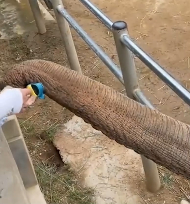 山脈撿起鞋子還給小朋友 / 圖片翻攝自 微博