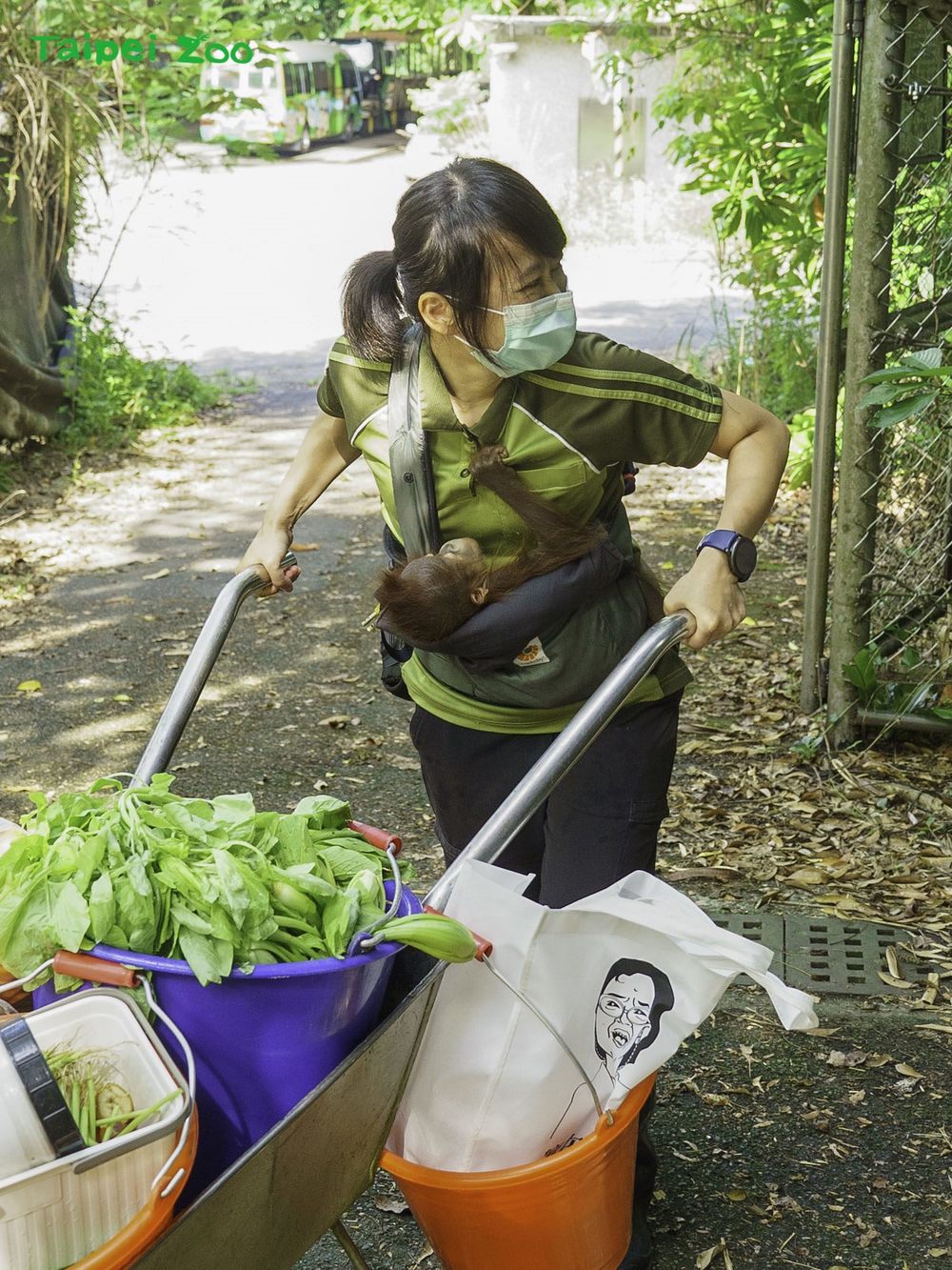 圖片來源 台北市立動物園