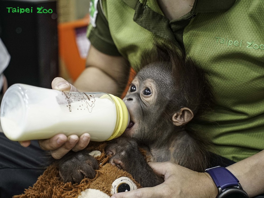 圖片來源 台北市立動物園