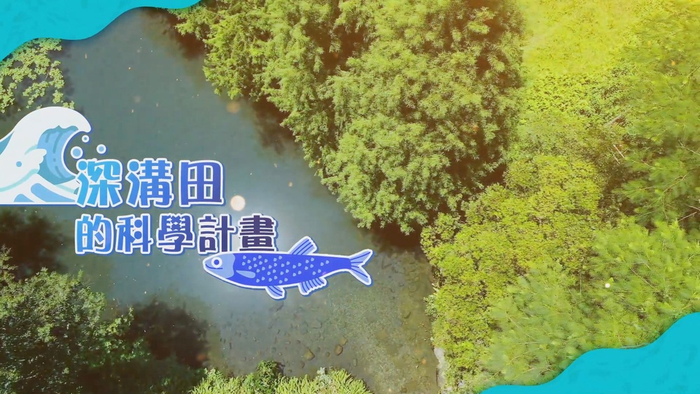 釣魚趣 埤塘溪流魚口普查｜深溝田的科學計畫｜華視新聞雜誌