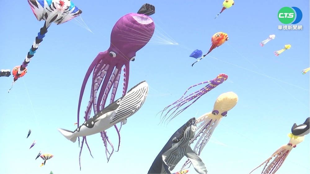 大型鯨魚"現身天空" 2022旗津風箏節登場