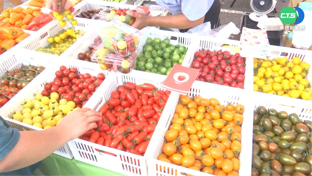 台日交流協會50年 夏季水果嘉年華凱道同樂