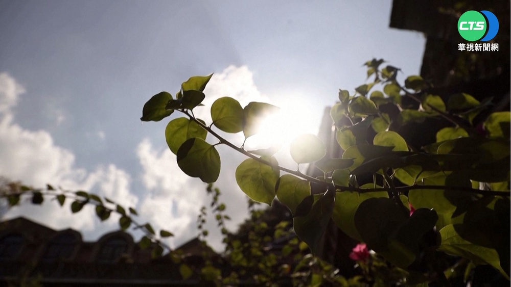 熱浪襲重慶飆45度高溫! 遊客喊"像做三溫暖"