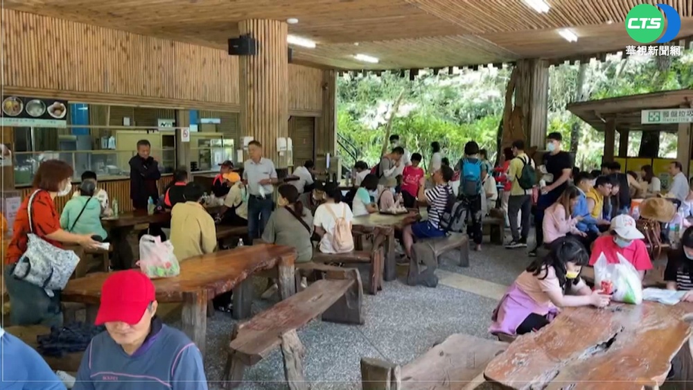 全台燒番薯! 南投杉林溪.溪頭湧避暑遊客