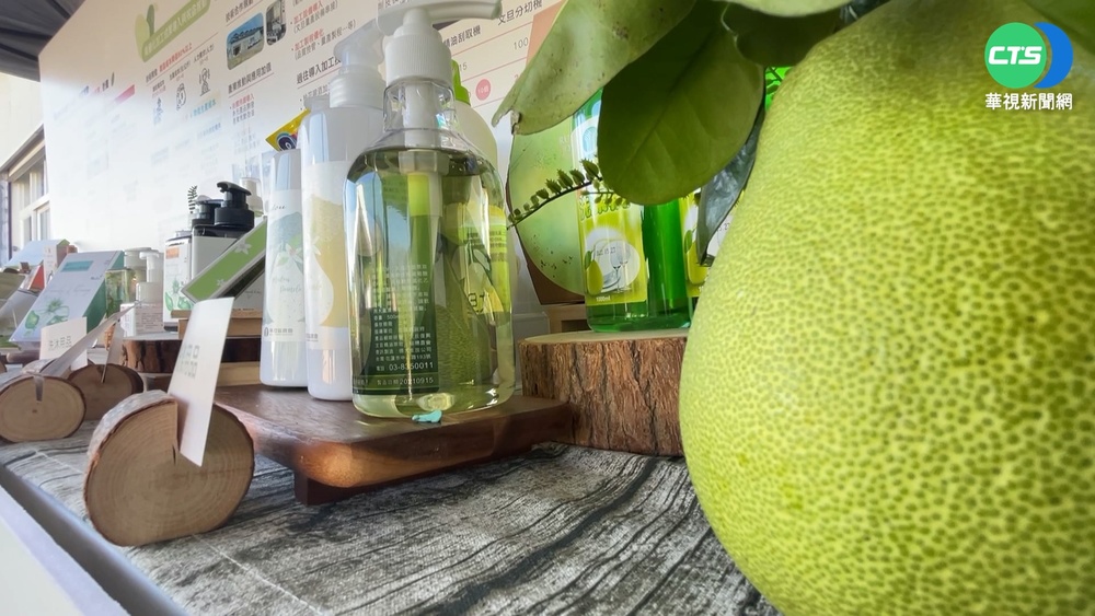 力抗中國禁銷令 花農改場研發文旦加工設備