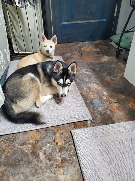 （圖/取自Oregon Lottery臉書）