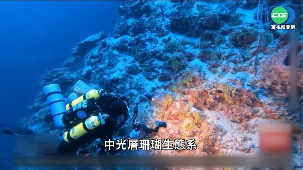 氣候變遷危及珊瑚礁 塑膠垃圾汙染海底