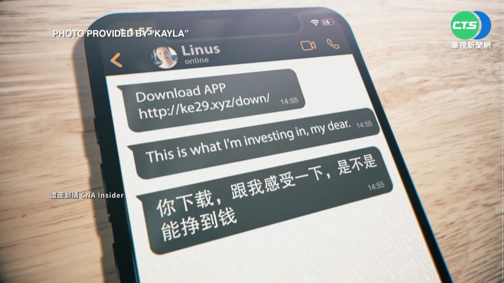 網路交友詐騙投資 星國一年遭詐逾2億