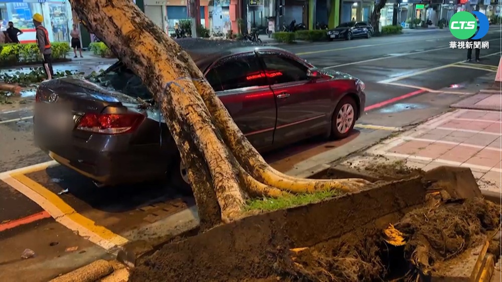 高雄午後大雷雨! 路樹突倒壓毀汽車