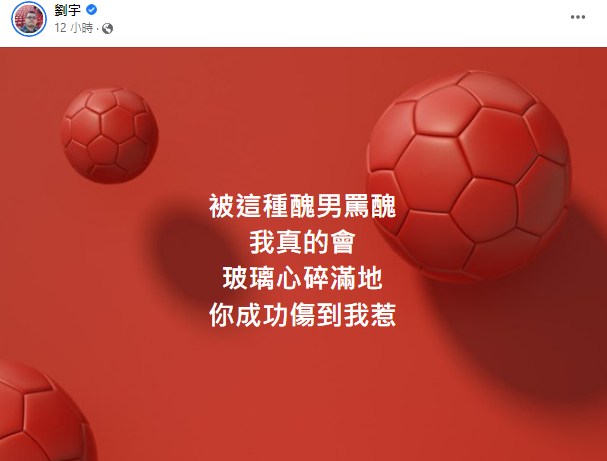  (圖/翻攝自劉宇臉書)