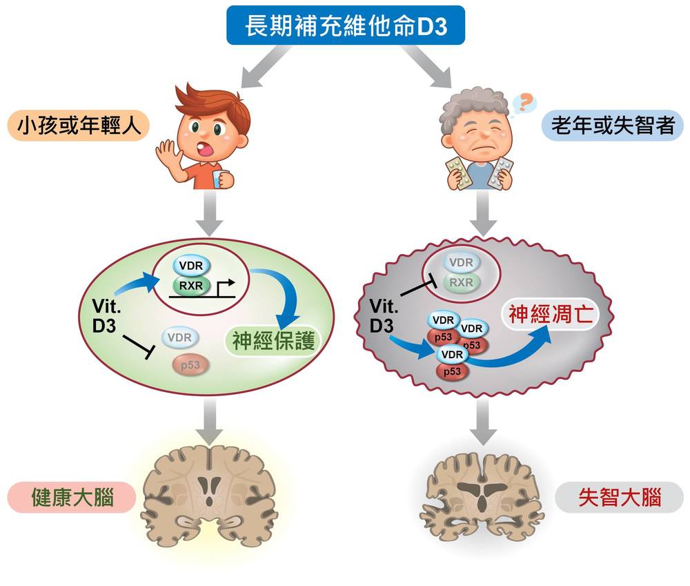 圖片來源 財團法人國家衛生研究院