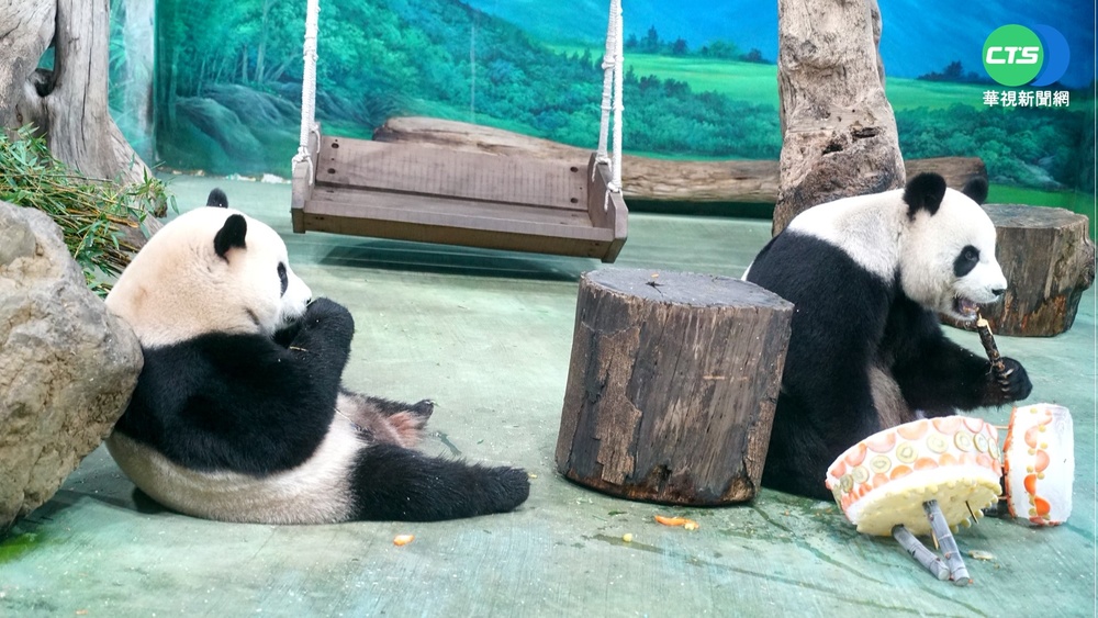 "團團圓圓"18歲生日 大啖雙層水果冰蛋糕