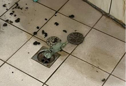 租房遇摳門房東！比價比到「噴屎」嘆：床邊5D踩屎感