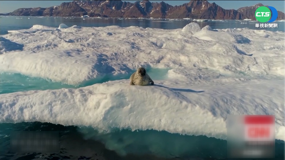 "零排放"也沒用 格陵蘭融冰將使海面升27cm