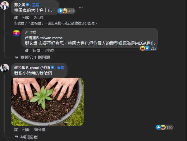 圖片翻攝自 台灣迷因