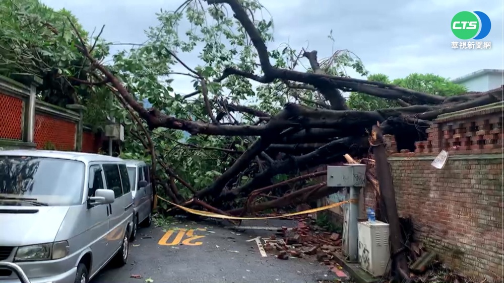 軒嵐諾強風襲! 淡水真理大學樹倒圍牆破損