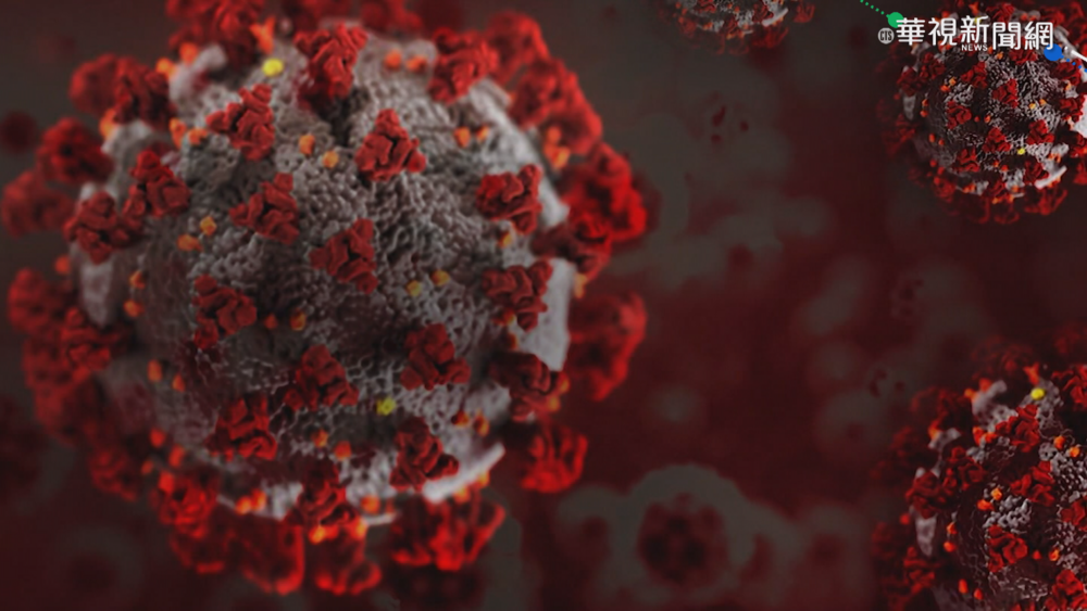 BA.5潛伏期「僅2天」 重症醫喊: 中秋烤肉避開4種人！