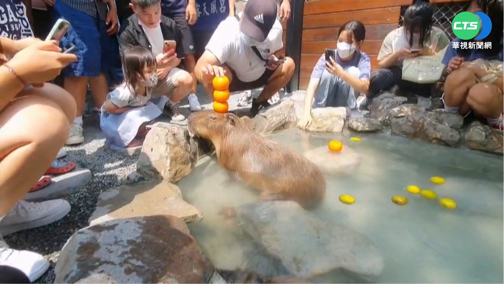 中秋連假出遊潮! 遊客擠爆宜花觀光景點