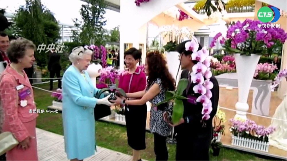 2010英國花藝展 伊莉莎白二世曾讚台灣蘭花