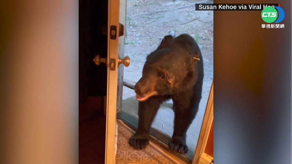 "熊"有禮! 美野熊闖民宅 臨走"隨手關門"