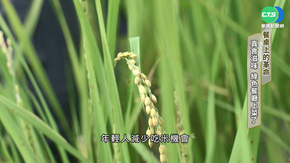 餐桌上的革命!真"食"滋味 綠色餐廳上菜了