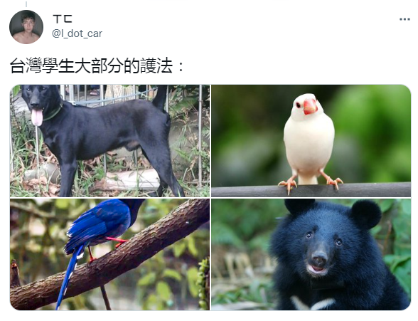  I_dot_car 提供使用