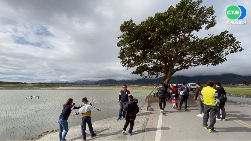 最高每團4萬! 花東悠遊國旅補助再加碼
